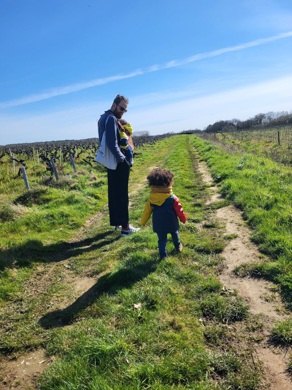 Balade dans les vignes